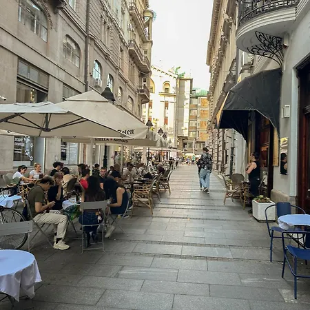 Djuras In The Center Of Apartment Belgrade