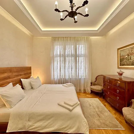 Djuras In The Center Of بلغراد