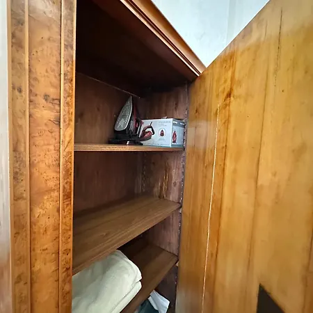 Djuras In The Center Of Apartment Belgrade